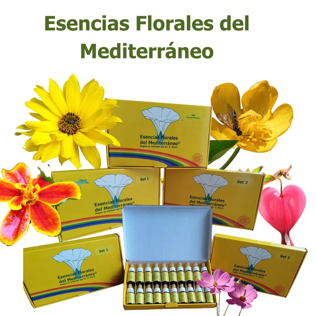 Flores del mediterráneo