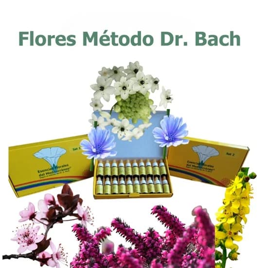Flores Método Dr. Bach