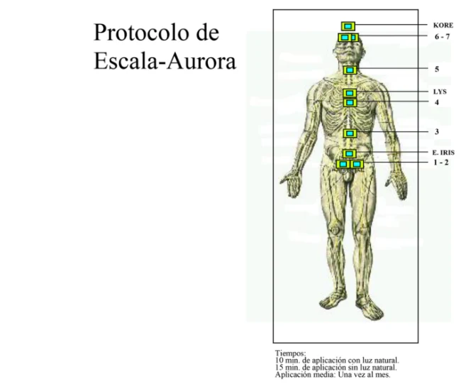 Ilustración del contenido