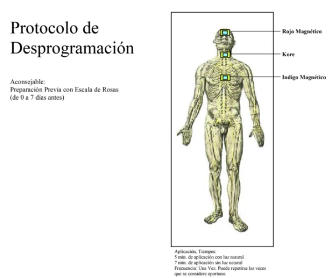Ilustración del contenido