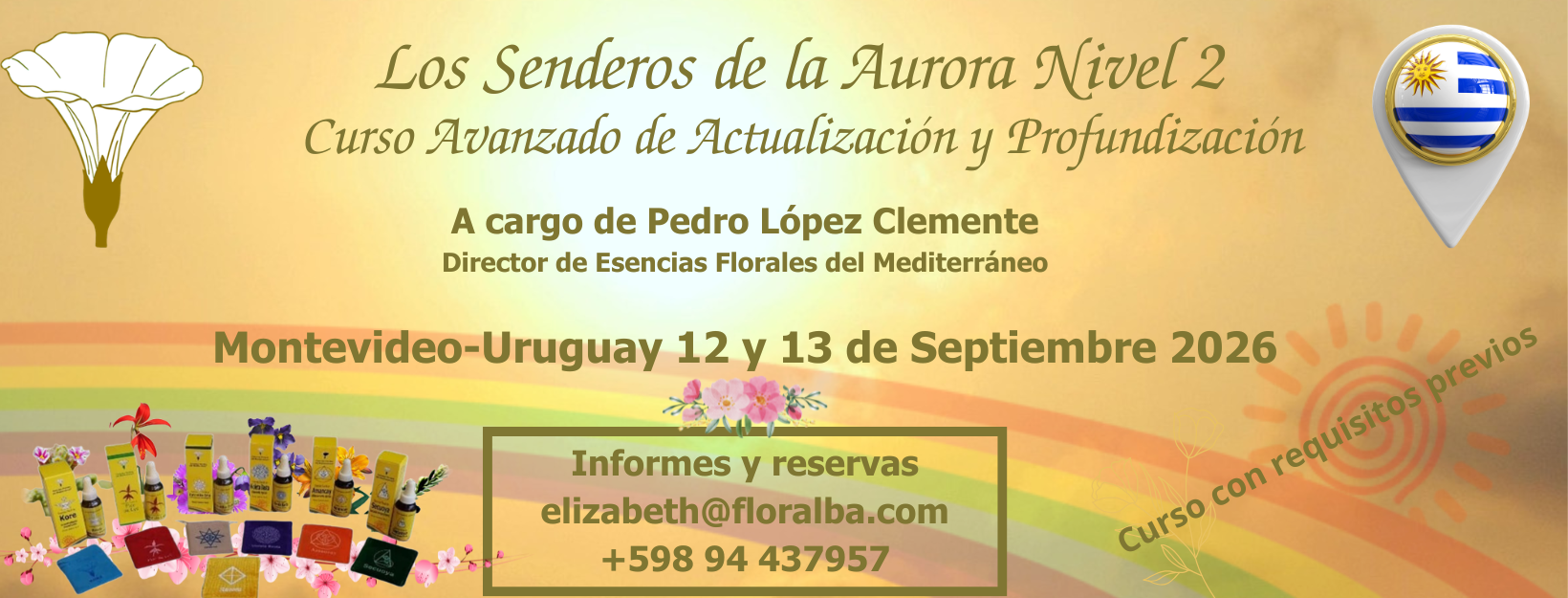 Banners Web