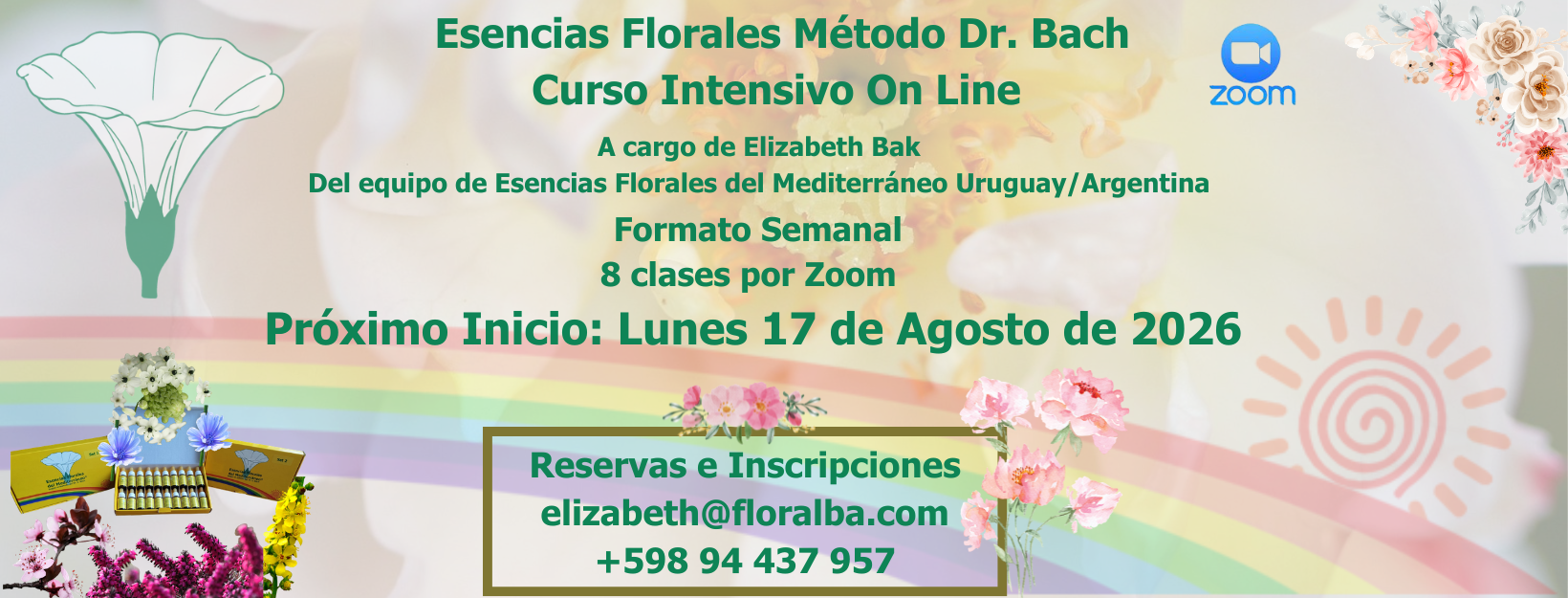 Banners Web (2)